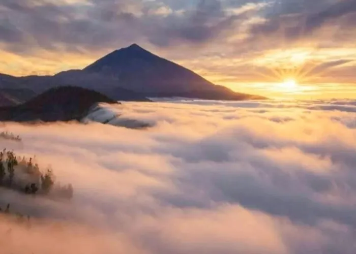 Apartment Ola Serena